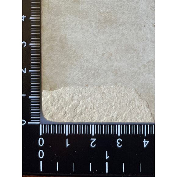 Antique Photo Cabinet Card 1900s Handsome Family Of Five JF Wentz Ridgeville Ind - Picture 7 of 7